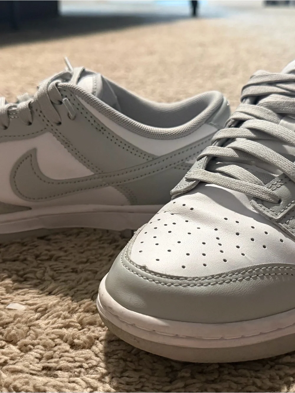 Nike Dunk Low Retro